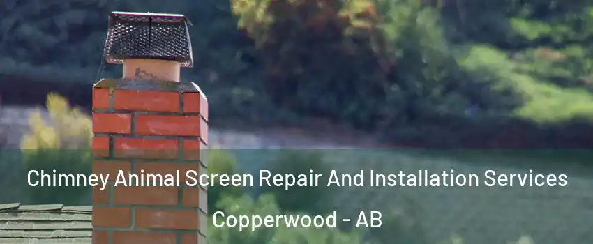  Chimney Animal Screen Repair And Installation Services Copperwood - AB