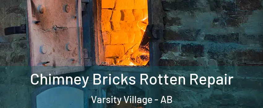  Chimney Bricks Rotten Repair Varsity Village - AB
