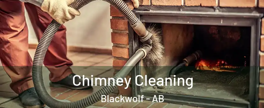  Chimney Cleaning Blackwolf - AB