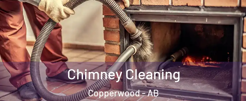  Chimney Cleaning Copperwood - AB