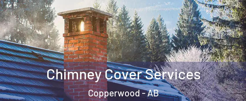  Chimney Cover Services Copperwood - AB