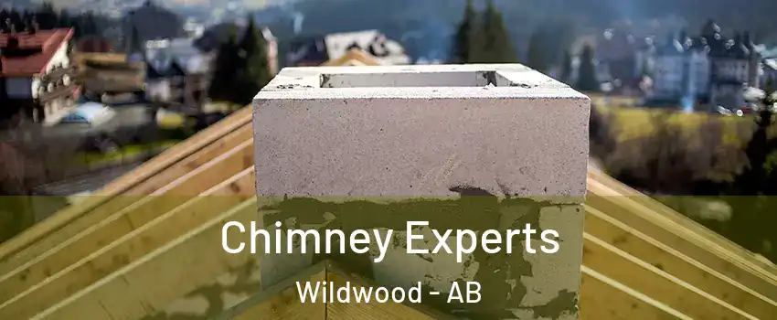 Chimney Experts Wildwood - AB