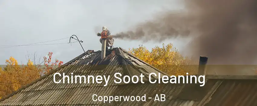  Chimney Soot Cleaning Copperwood - AB