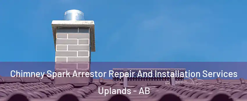  Chimney Spark Arrestor Repair And Installation Services Uplands - AB
