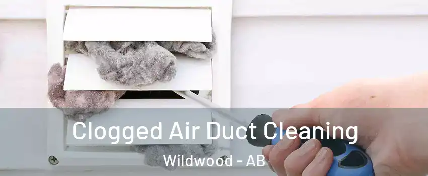  Clogged Air Duct Cleaning Wildwood - AB