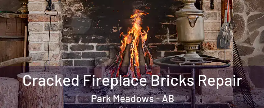  Cracked Fireplace Bricks Repair Park Meadows - AB
