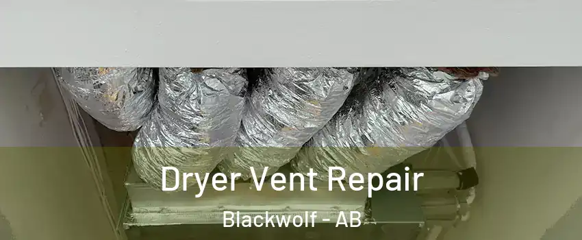  Dryer Vent Repair Blackwolf - AB