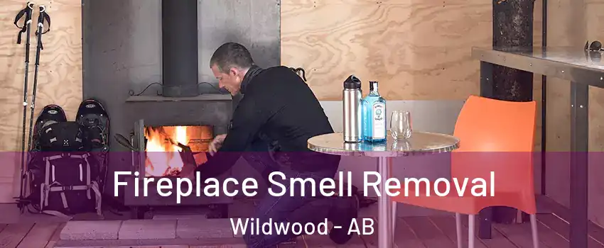 Fireplace Smell Removal Wildwood - AB