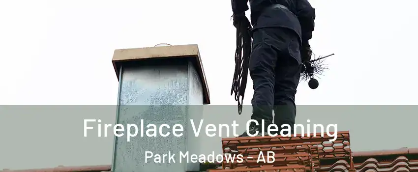  Fireplace Vent Cleaning Park Meadows - AB