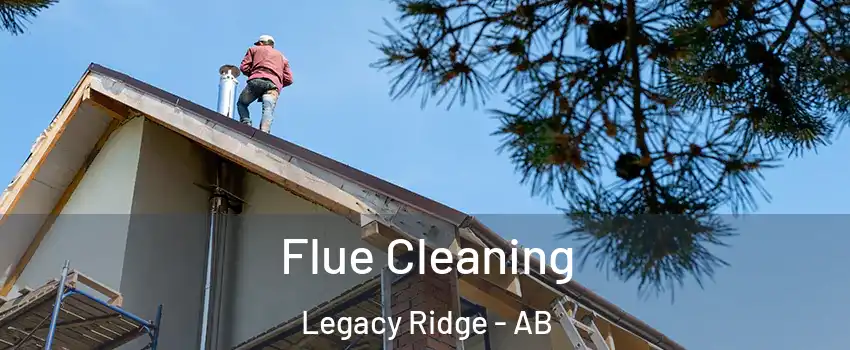  Flue Cleaning Legacy Ridge - AB