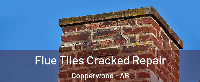  Flue Tiles Cracked Repair Copperwood - AB