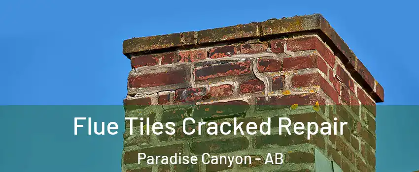  Flue Tiles Cracked Repair Paradise Canyon - AB