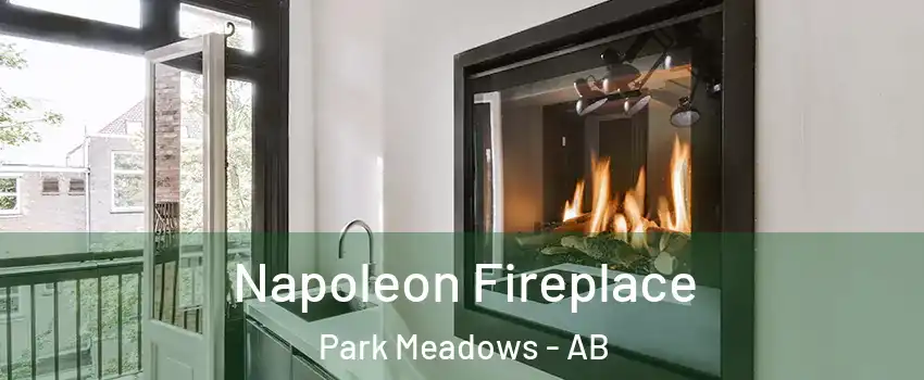  Napoleon Fireplace Park Meadows - AB