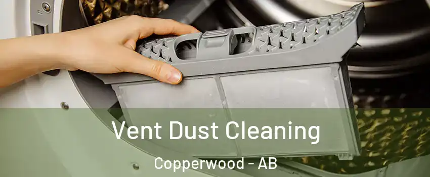  Vent Dust Cleaning Copperwood - AB